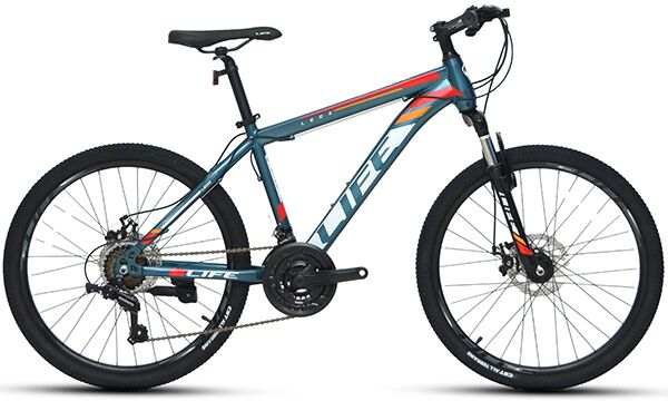 Xe đạp điện địa hình Life LEOX 24 2022